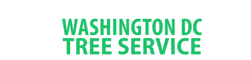 dc tree service pro logo light
