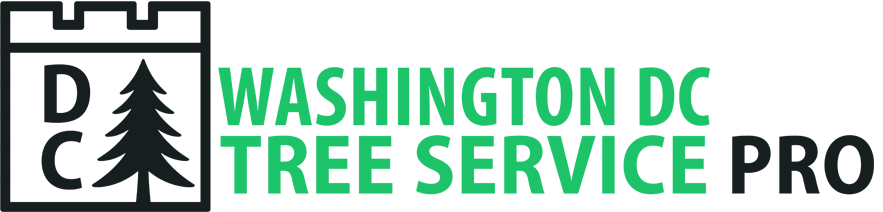 DC Tree Service Pro