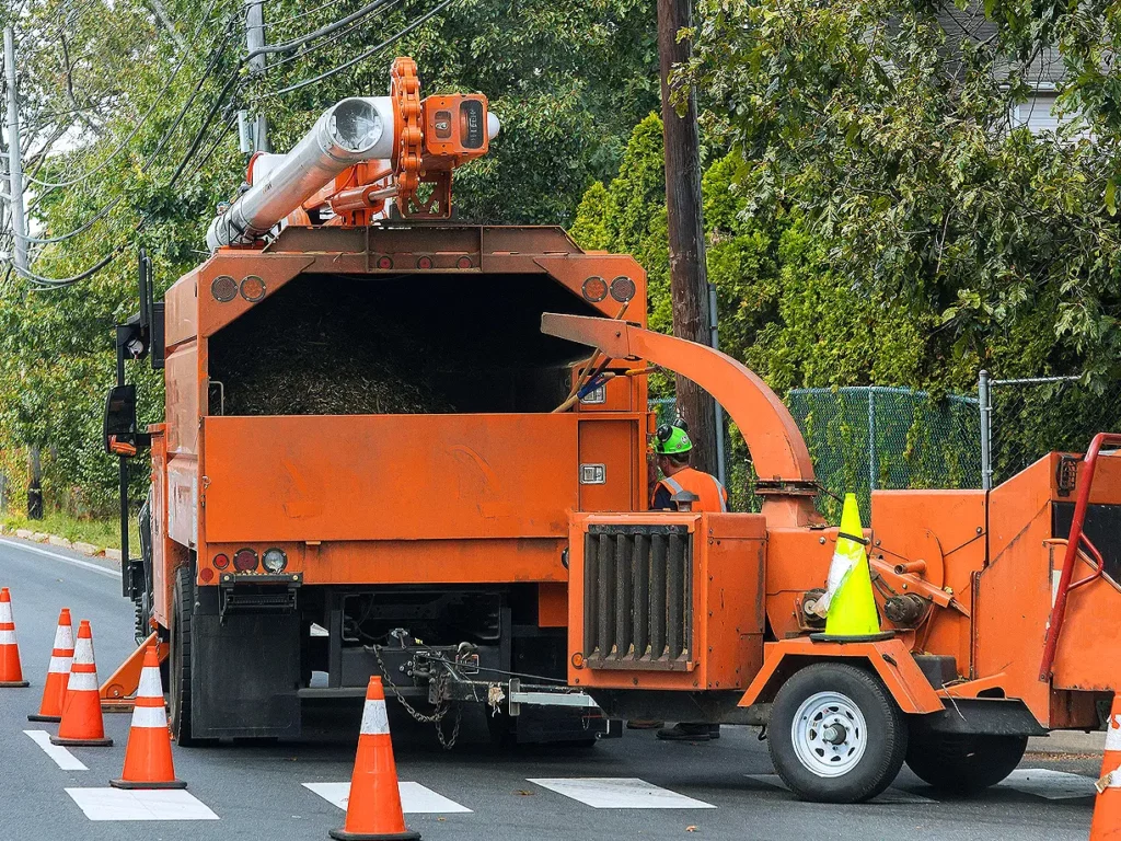 dc tree service pro tree removal tree maintenance stump removal stump grinding tree care tree trimming tree pruning arborist tree service emergency tree service
